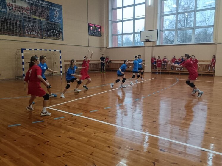 Брянские гандболистки стали призерами соревнований в республике Беларусь