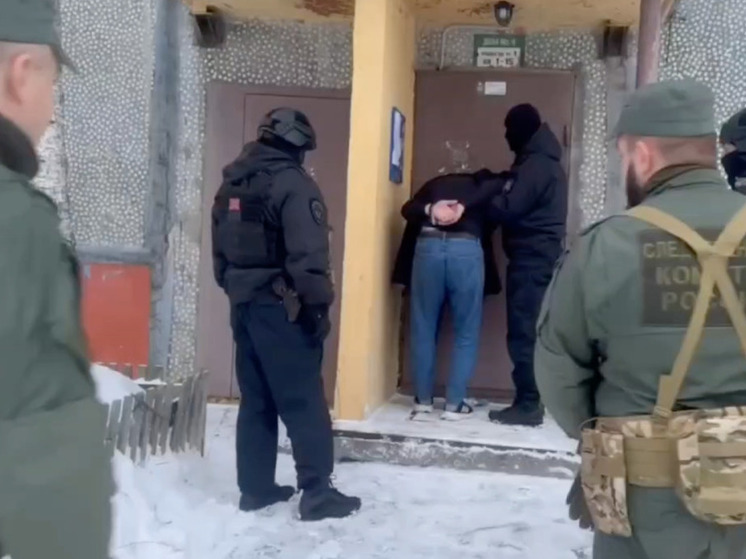 Банда из Мурманска за деньги «наказывала» людей топором и кастетом