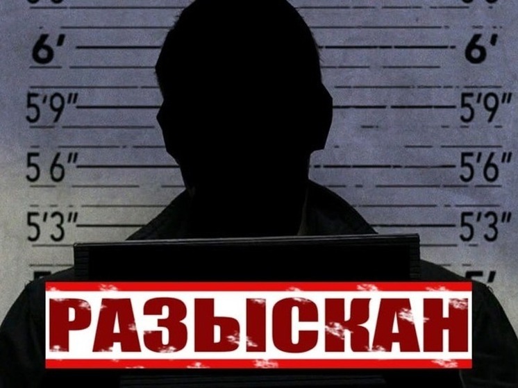 В Запорожской области задержана находившаяся в федеральном розыске воровка