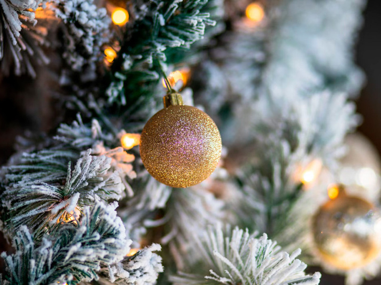 Ёлки Липецкой земли»: Елец готовится к представлению новогодних чудес всех округов региона