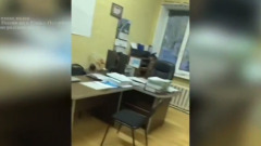 ФСБ разоблачила схему хищений в сфере лесопользования в Ленобласти