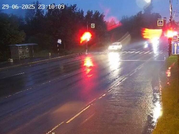 Ушло в суд дело петербургского водителя, сбившего подростка на переходе