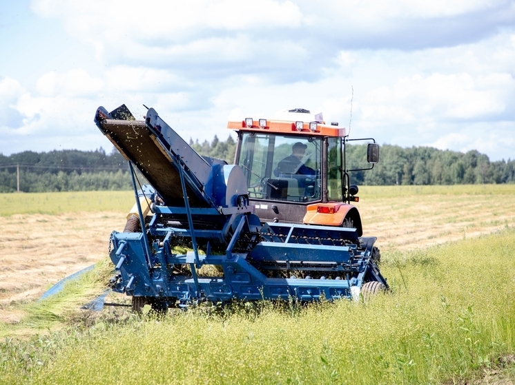 Длинный рубль тверского АПК: в регионе посчитали урожай и среднюю зарплату аграриев