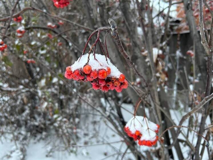 Морозы до -20 градусов обрушатся на Алтайский край после двух дней шторма