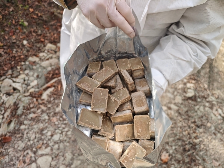 В Сочинском нацпарке заложили вакцины от бешенства