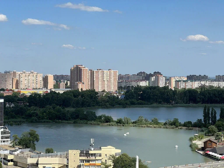 В Краснодаре высадили более 550 деревьев и около 22 тысяч кустов