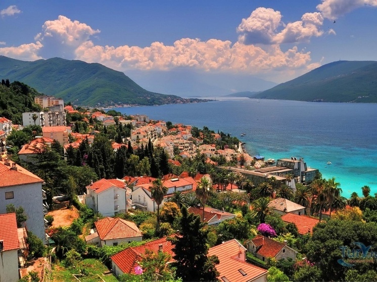 Власти Черногории планируют ввести визовый режим для граждан Российской Федерации