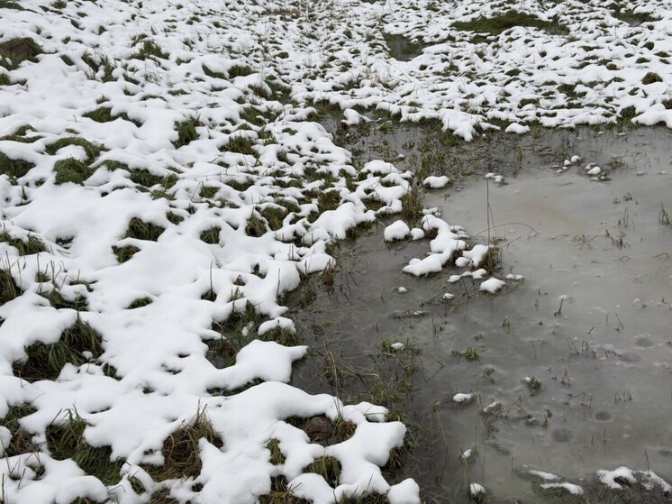 Новгородцев предупредили о мокром снеге и гололеде 27 ноября