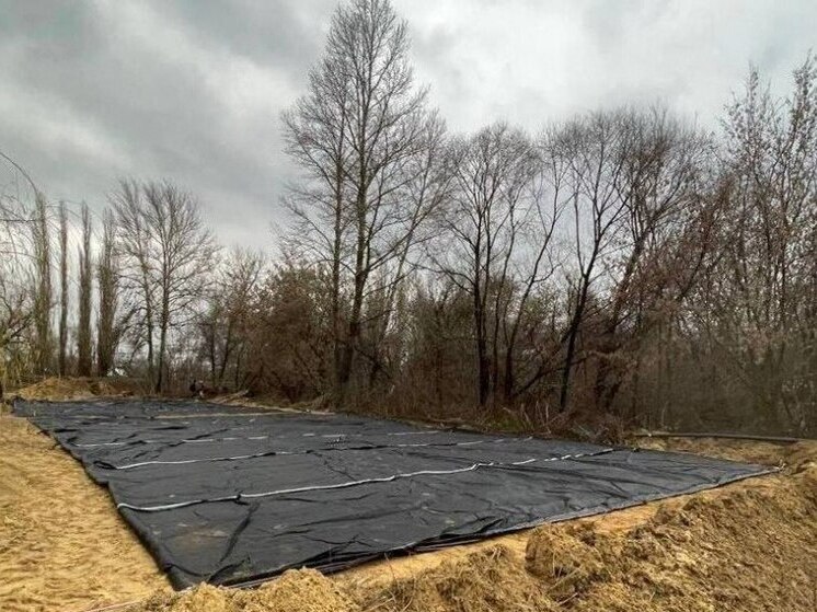 Спасая от паводков: как расчистка Цны защитит дома тамбовчан