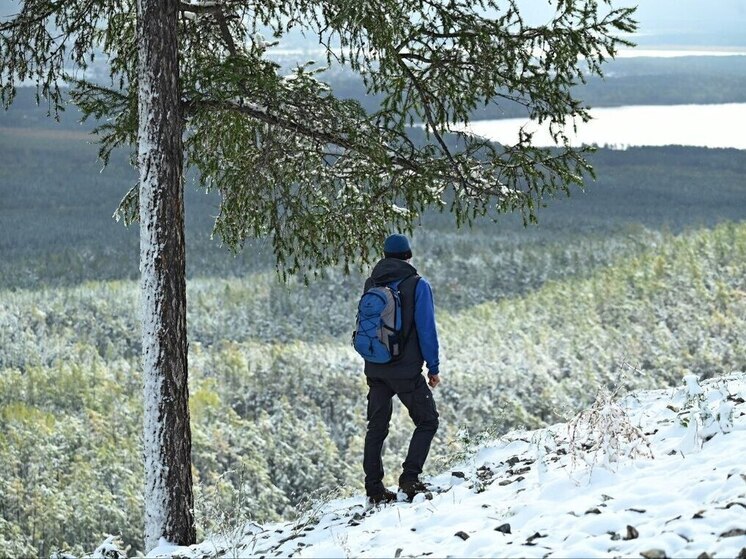 На Южном Урале усиливают охрану хвойных лесов