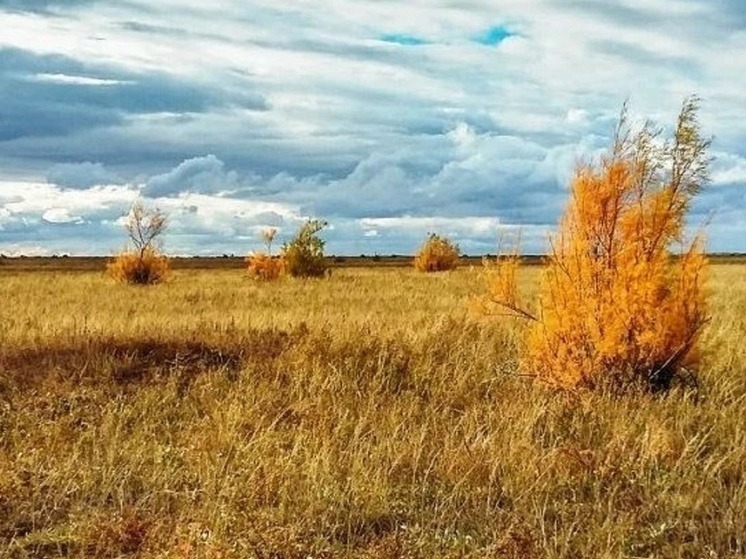 Завтра о погоде в Калмыкии расскажут приметы