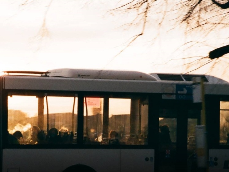 В Элисте зимой обновят автобусные маршруты