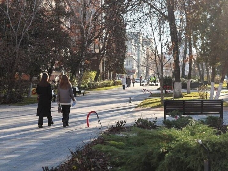 В Воронеже стартовал второй этап благоустройства на улице Карла Маркса