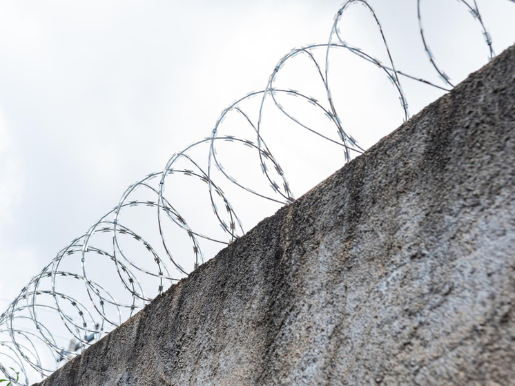 Пойман на доставке: в Тамбове вынесли приговор пособнику, собиравшему деньги для мошенников