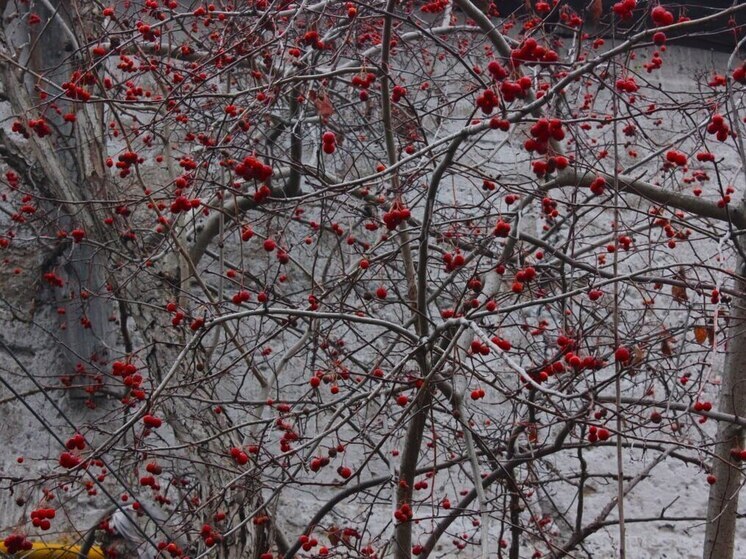 Какой сегодня день по народному календарю

27 ноября в народе отмечали Филиппов день, также называемый Куделицей