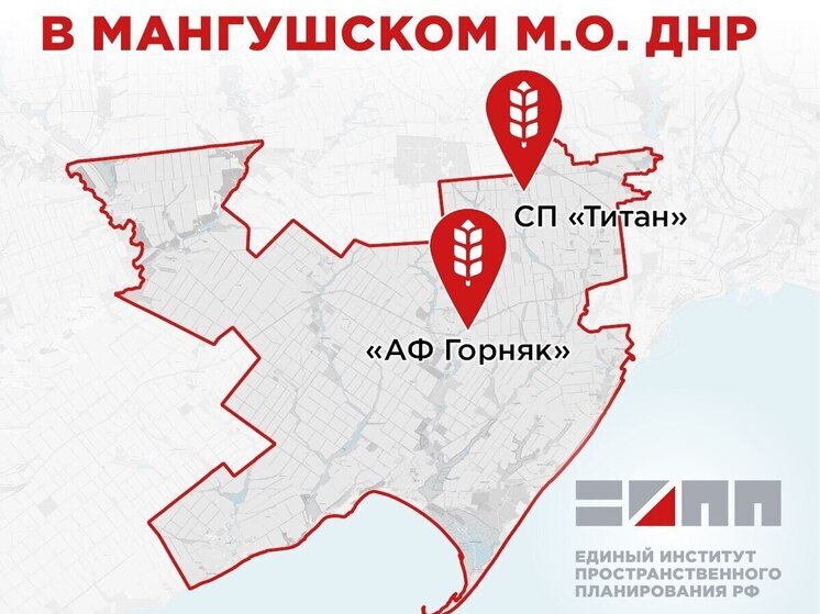 В Мангушском округе планируют развивать сельское хозяйство