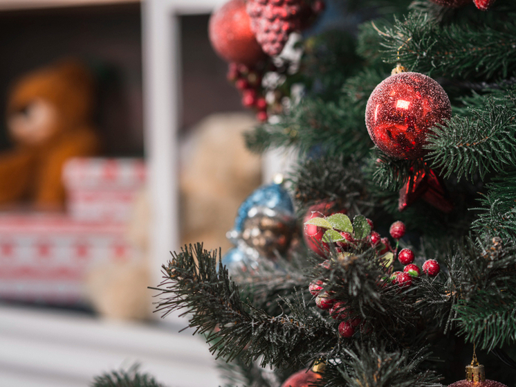 Стать волшебником для ребёнка: в Тамбове загорелись огни «Дерева добра»