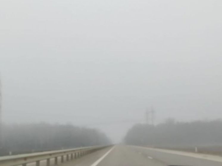 Без осадков, но с туманом: какая погода ждет белгородцев в четверг