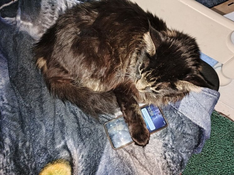 Российский оператор сотовой связи доказал превосходство в сегменте частных сетей, выйдя на первое место в ежегодном аналитическом исследовании ComNews «Корпоративные сети Private LTE/5G в России и Казахстане»