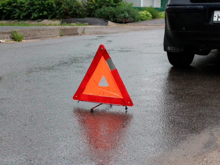 В Липецкой области ДТП с мотоблоком привело к гибели водителя
