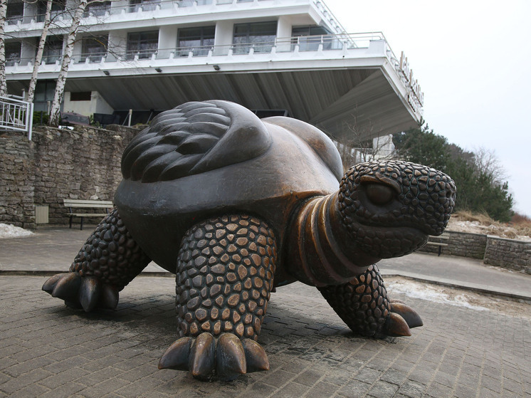 В зоопарке Сан-Диего умерла 142-летняя галапагосская черепаха