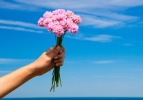 Европа пахнет плесенью, кровью, сырым мясом и цирком, Америка – кладбищем, автомастерской, лошадьми и компьютерами, зато Япония и Китай, где прежде избегали резких запахов, даже если они приятные, теперь вызывающе благоухают цветами и прочими, пусть и банальными, зато приятными обонянию и олицетворяющими не упадок, а шик, ароматами