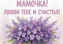 Последнее воскресенье ноября в России отмечается День матери