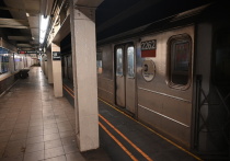 Бразильская студентка, потерявшая руку и ногу после падения под поезд нью-йоркского метро в 2016 году, выиграла историческое дело против Управления транспорта Нью-Йорка