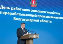 Объем производства в волгоградском агропромышленном комплексе по итогам 2025 года превысит 410 млрд рублей – предварительные итоги сельхозгода в региональный День работника сельского хозяйства и перерабатывающей промышленности подвел губернатор Андрей Бочаров