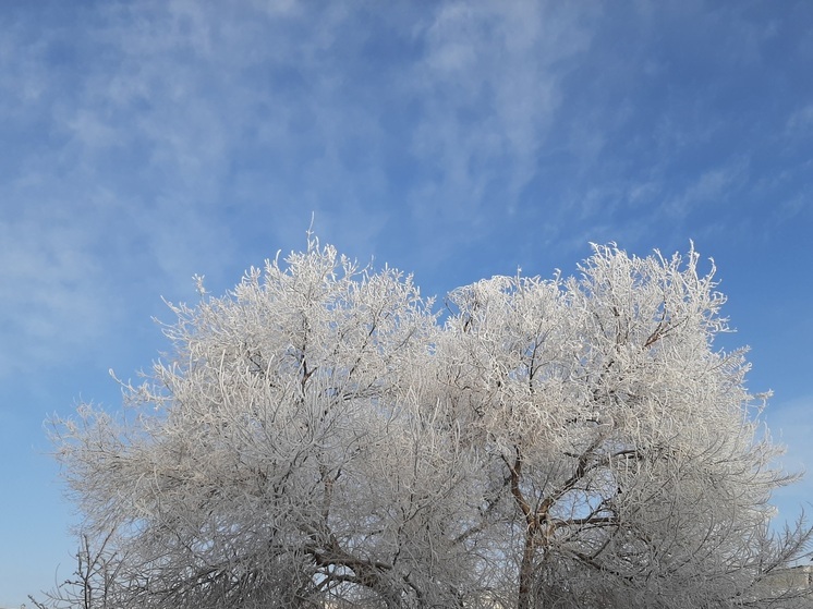 В Саратовской области подморозит до -6 градусов