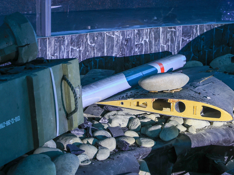 В Таганроге 27 ноября объявили Днем траура по жертвам, погибшим от украинских беспилотников