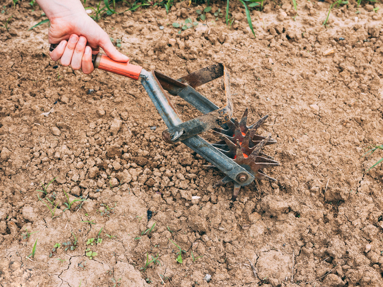 Ликвидация свалок вернула в оборот более 24 га земель Кировской области