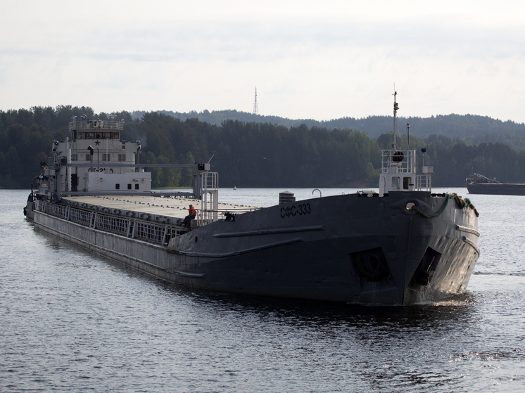 Сухогруз с зерном, шедший в Ростов-на-Дону, сел на мель в Волгоградской области