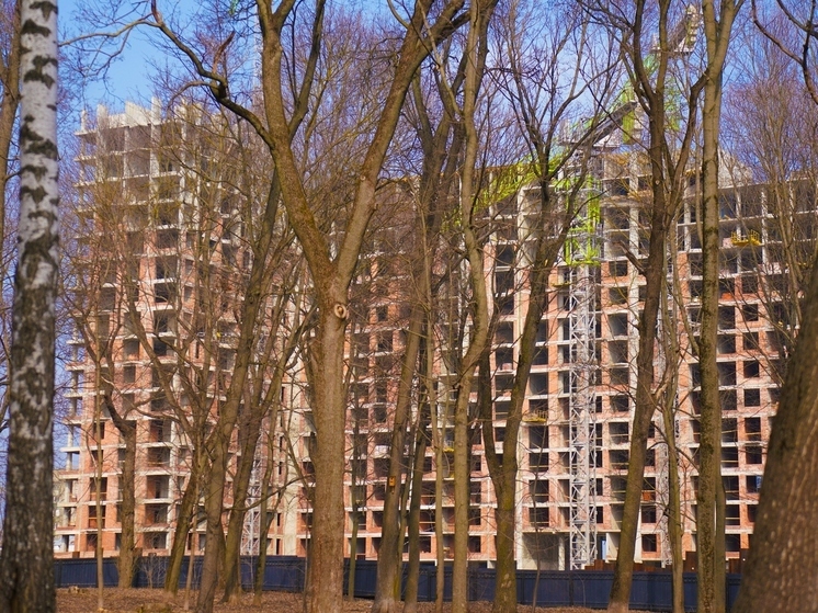 В Тульской области введут более 800 тысяч квадратных метров жилья до конца года