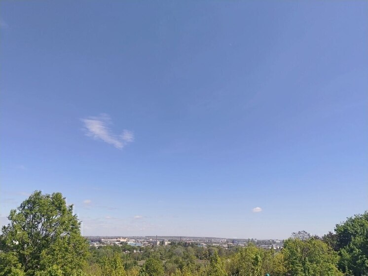 Подразделения «Орлан» и «БАРС-Белгород» ликвидировали 24 дрона за сутки