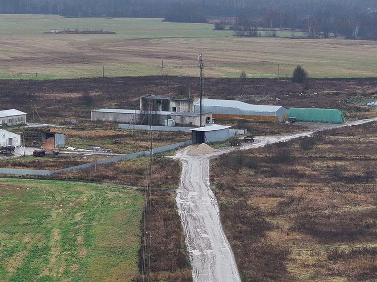 На 16 объектах животноводства в Марий Эл выявлены нарушения