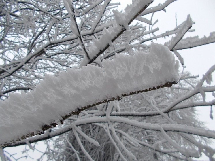 Снегопад и до −5 градусов пообещали ленинградцам синоптики 27 ноября