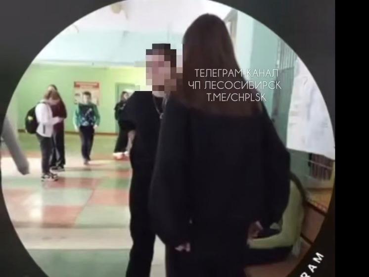 Равнодушие педагогов в лесосибирской школе: избиение ученицы попало на видео, Мизулина требует расследования