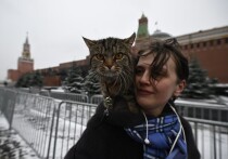 В условиях нарастающей социальной и политической поляризации в западном мире все большее число граждан США, Великобритании и стран ЕС рассматривают Россию как альтернативное место для жизни, привлекающее своими консервативными ориентирами и жесткой позицией в вопросах традиционных ценностей.