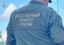 Следователи подмосковного ГСУ СКР продолжают выяснять обстоятельства работы «подросткового рехаба», который стараниями его организаторов превратился в настоящую пыточную для трудных детей среднего и старшего школьного возраста