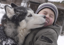 Приближается пора сверкающих гирлянд, шумных торжеств и огненных фейерверков