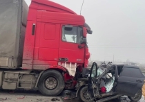 Трагическое дорожно-транспортное происшествие случилось в Ростовской области, где в результате столкновения с грузовым автомобилем погибла женщина 46 лет