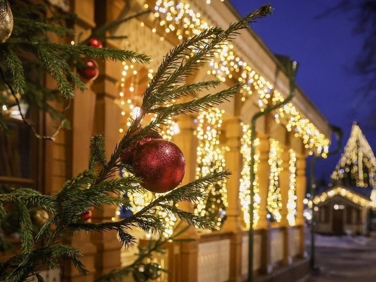 В Ярославской области дадут награды за самый красивый новогодний фасад