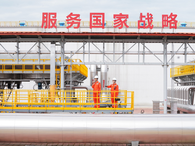 Россия и Китай: от сырьевого партнерства к стратегическому энергетическому альянсу