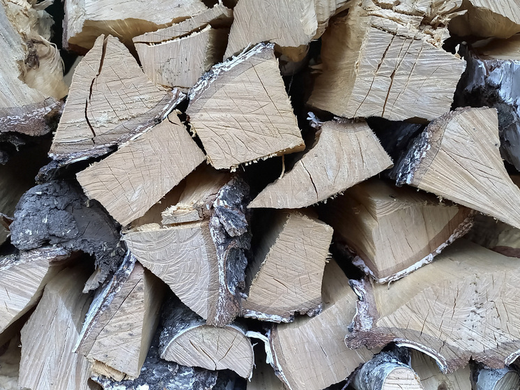 Бойцу СВО из Забайкалья привезли грузовик дров после его видеообращения