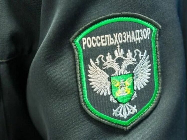 В Курской области за две свалки мусора оштрафовали владельца земельных участков