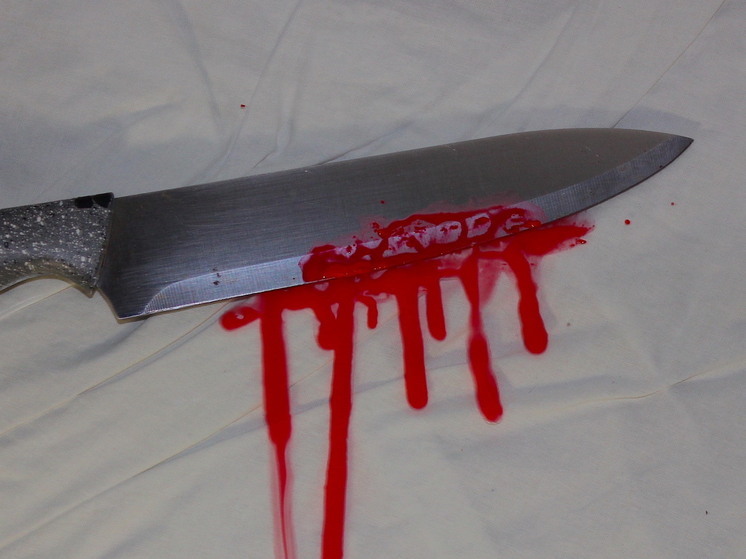 В Гатчине будут судить петербуржца, убившего и обокравшего знакомого