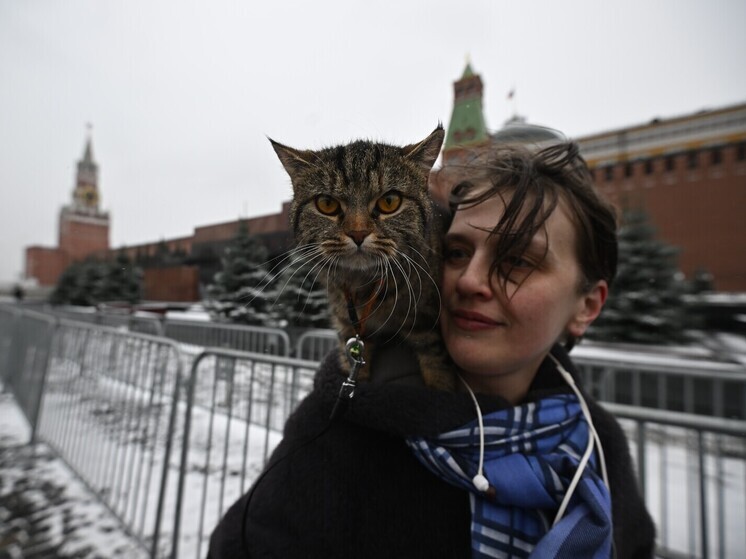 DE: разочарованные в пропаганде ЛГБТ* американцы переезжают жить в Россию