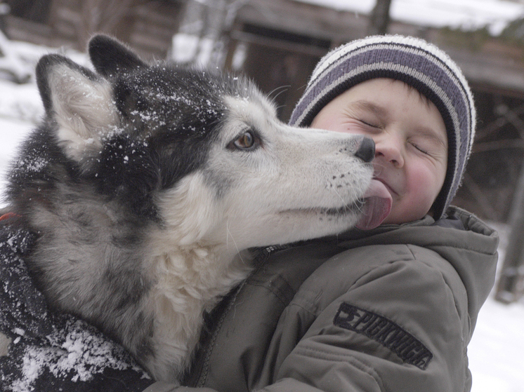 В России владельцев животных призвали не брать их на улицу в новогоднюю ночь