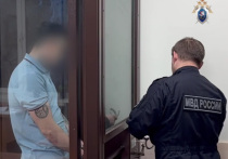 Вскрывшиеся накануне после госпитализации подростка в критическом состоянии подробности «лечения» несовершеннолетних от зависимостей в подмосковном рехабе, где над детьми издевались за деньги их родителей, продолжает обрастать деталями настолько дикими, что в них трудно поверить